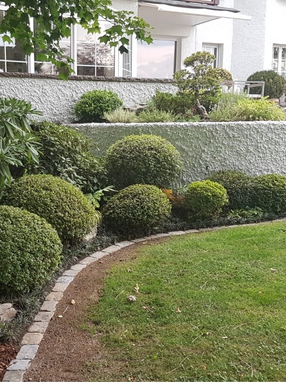 Lorem ipsum dolor sit