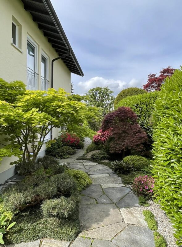 Lorem ipsum dolor sit